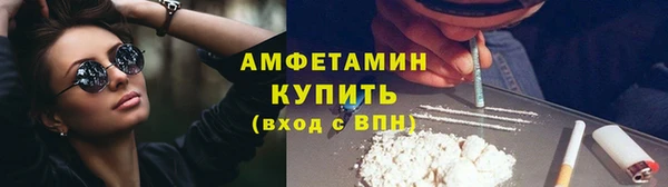 стафф Алзамай
