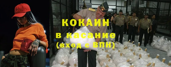 сатива Алексеевка