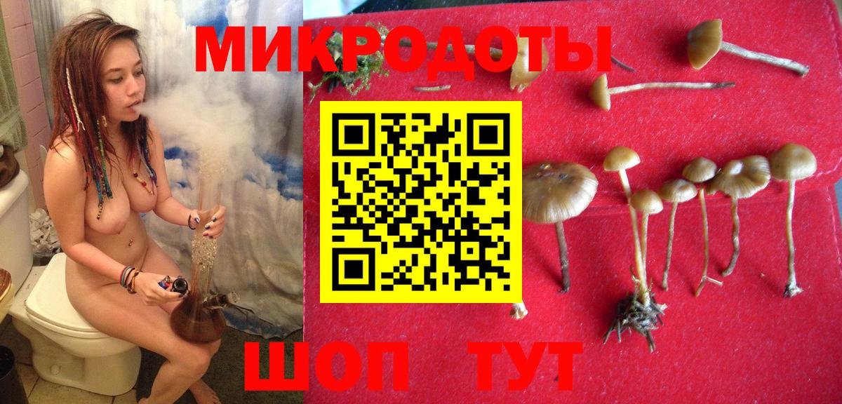 Псилоцибиновые грибы ЛСД Тулун