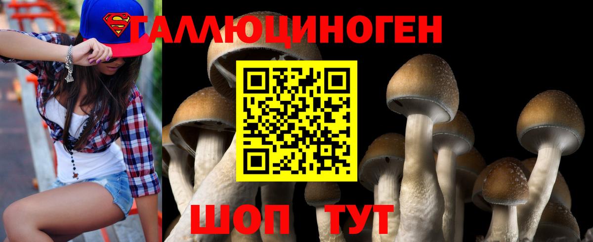 Тулун  Галлюциногенные грибы мухоморы  Вход с VPN 